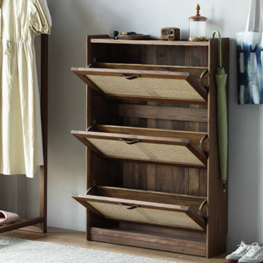 Wayfair on sale shoe cabinet